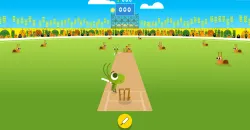 PLay Doodle Cricket now!