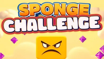 Sponge Challenge