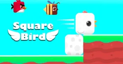 PLay Square Bird now!