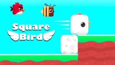 Square Bird