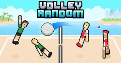 PLay Volley Random now!