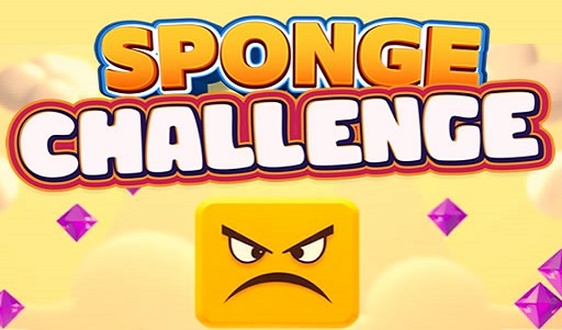 Sponge Challenge