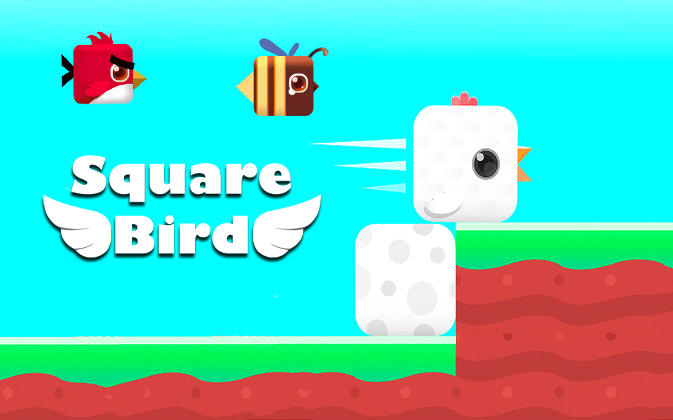 Square Bird